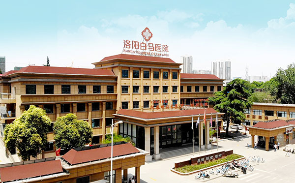 洛阳白马·爱蓓医疗月子会所